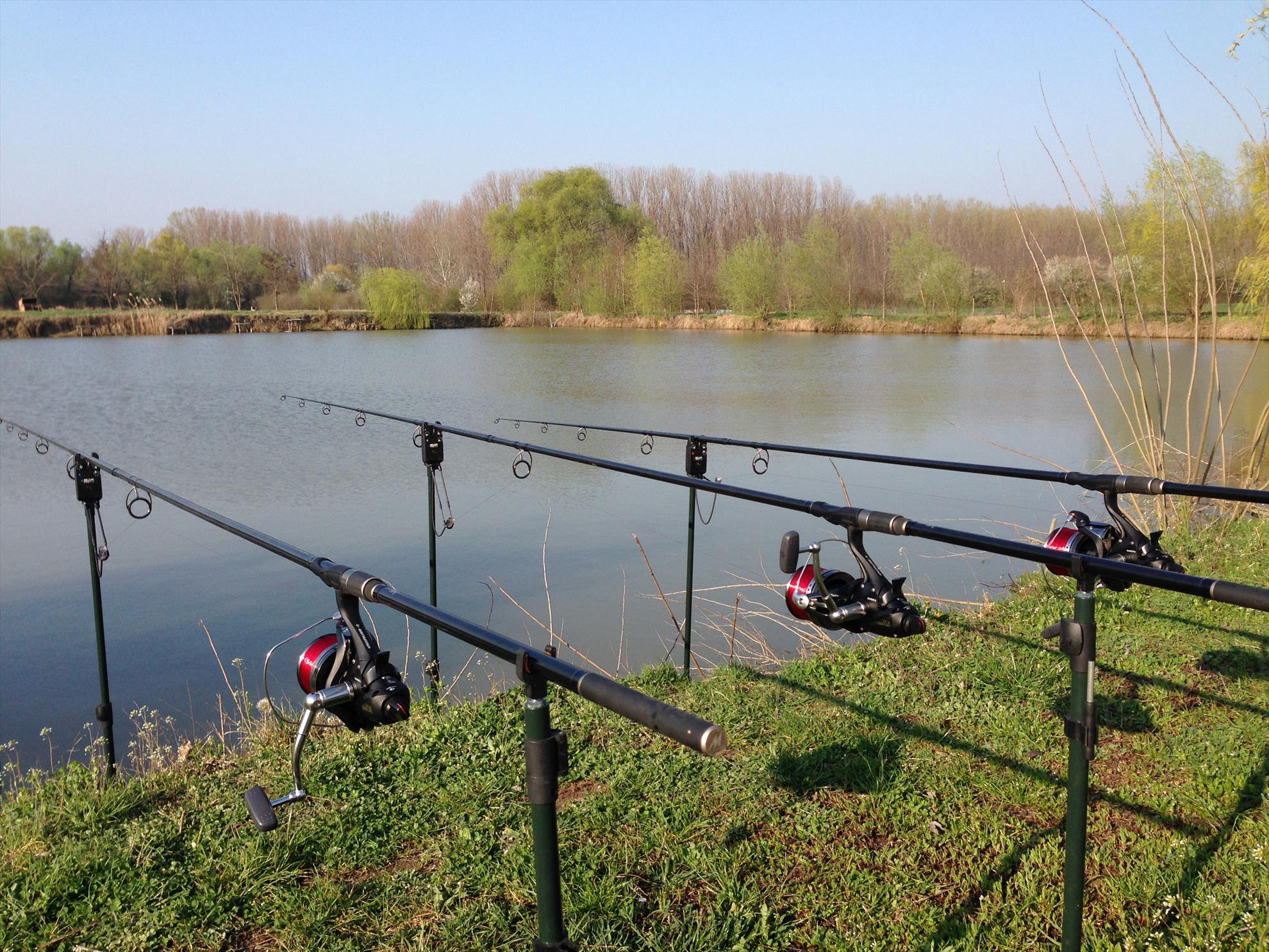 balta oltenitei - img0280.JPG